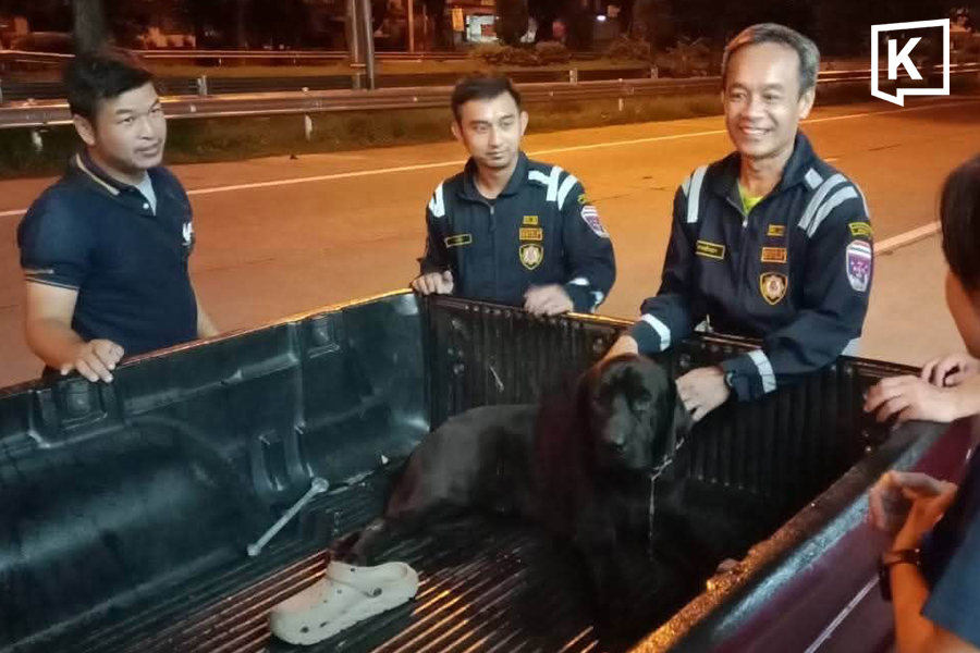CCTV captures dog dragged along Lampang road