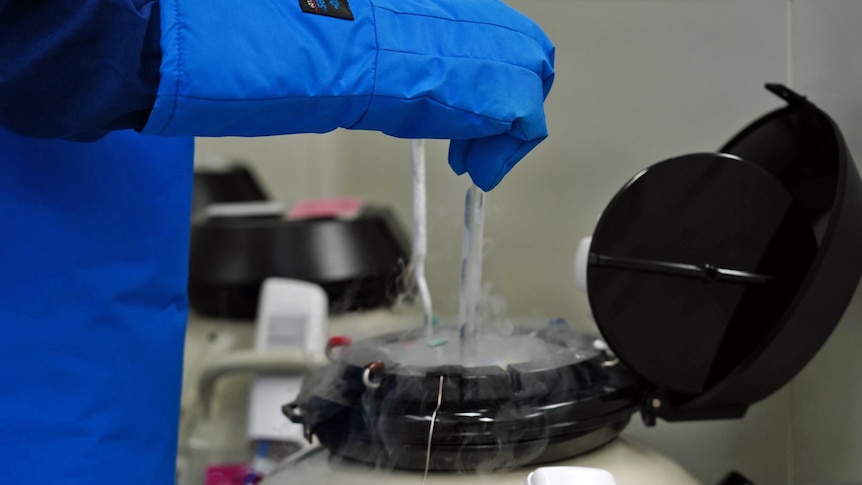 Drug trafficker takes fight to freeze eggs while in prison to High Court