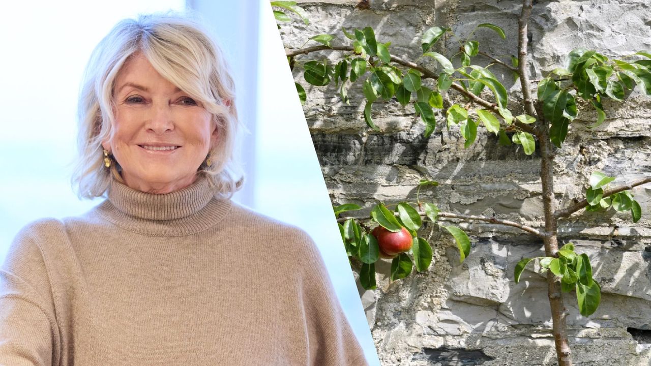 Martha Stewart swears by this exact weeding tool — last year it sold out fast, but now it's back in stock for $24