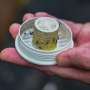 US firm takes on backyard mosquitoes—with 600,000 mosquitoes