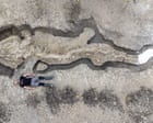The Guardian view on the export of fossils: they deserve national treasure status | Editorial