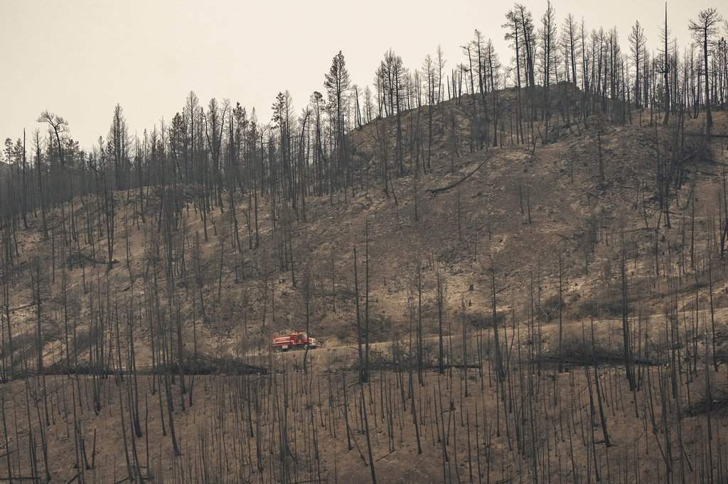 Wildfires expose accessibility failures: advocates