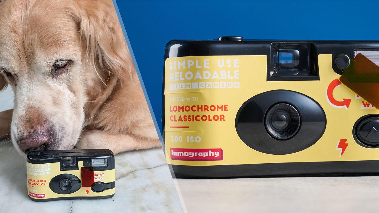 I’ve spent a month testing this Lomography reloadable film camera — and for $27, it offers unbeatable value for money