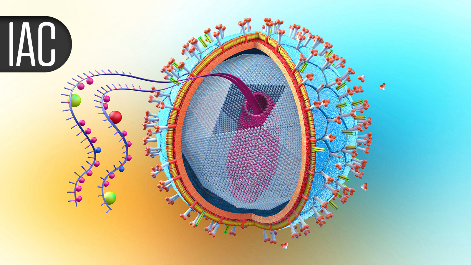 ART Regimen Effective, Led to Less Weight Gain in Treatment-Naive HIV