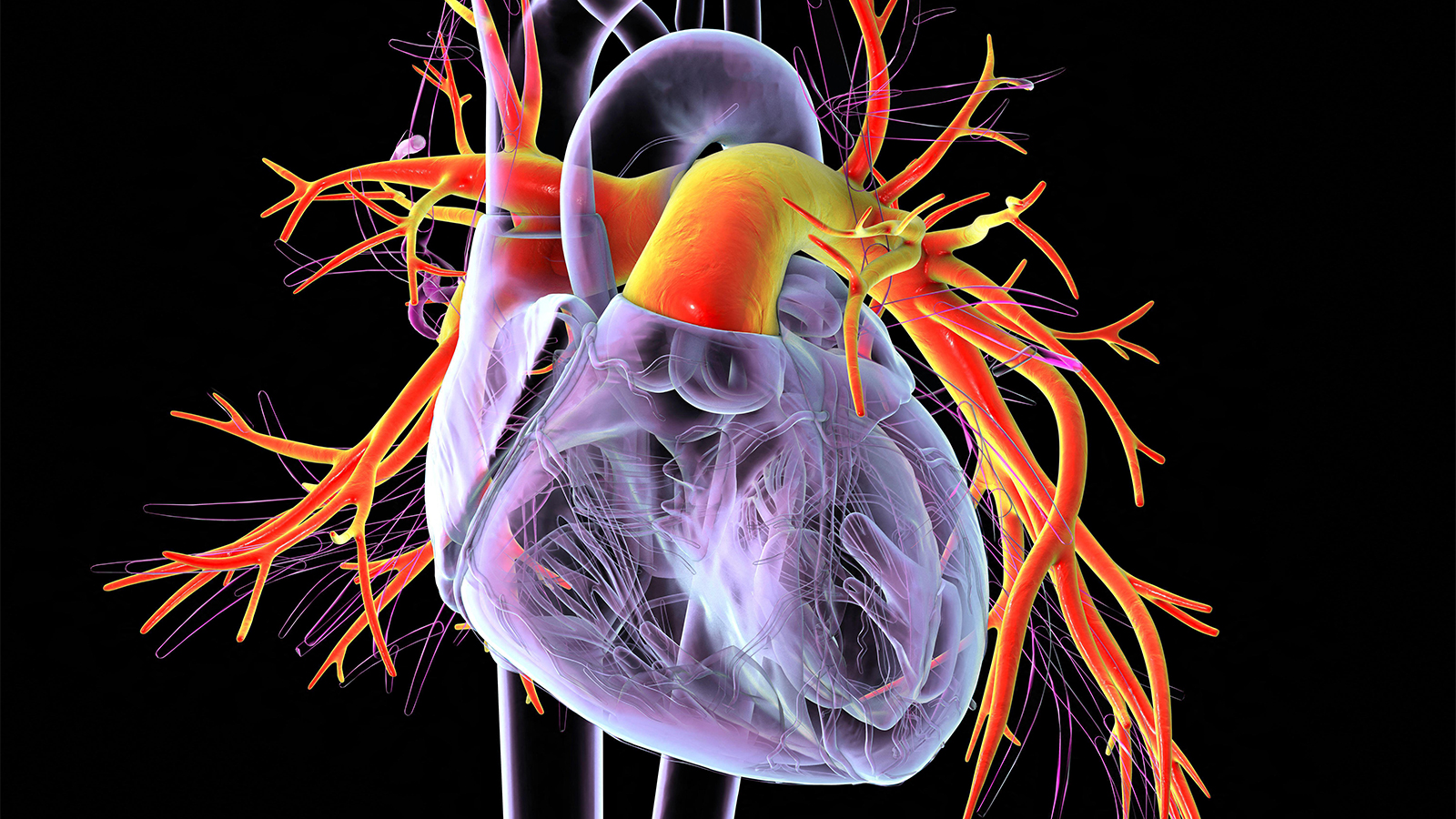 New Drug Prevents Worsening Pulmonary Arterial Hypertension in Major Trial Win