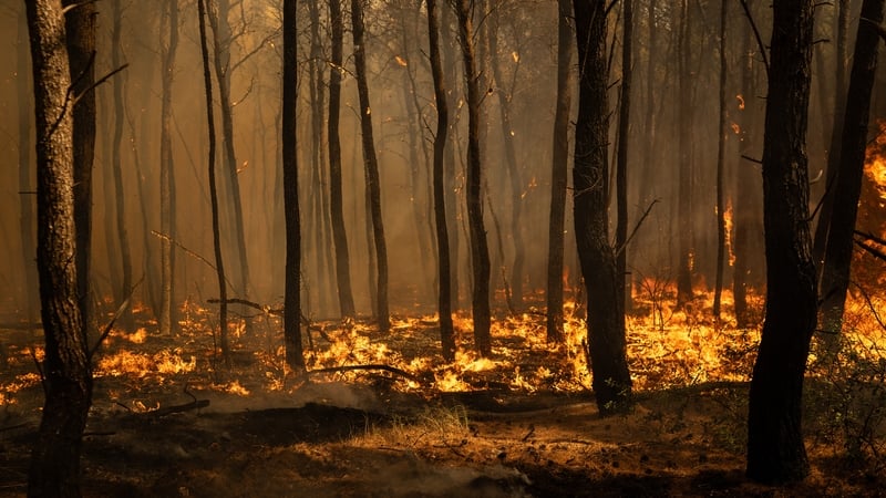 Greek mayor among three charged over wildfire near Athens