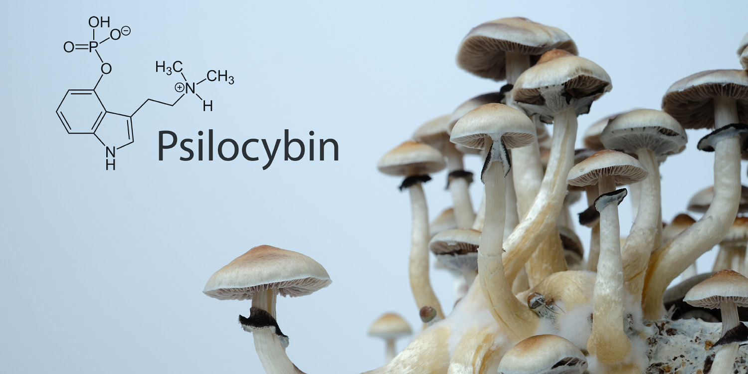 Psilocybin therapy sessions for PTSD are mostly silent, study finds