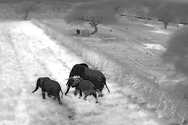 Thermal drones deployed in Kenya’s Amboseli Park to tackle human-elephant conflict
