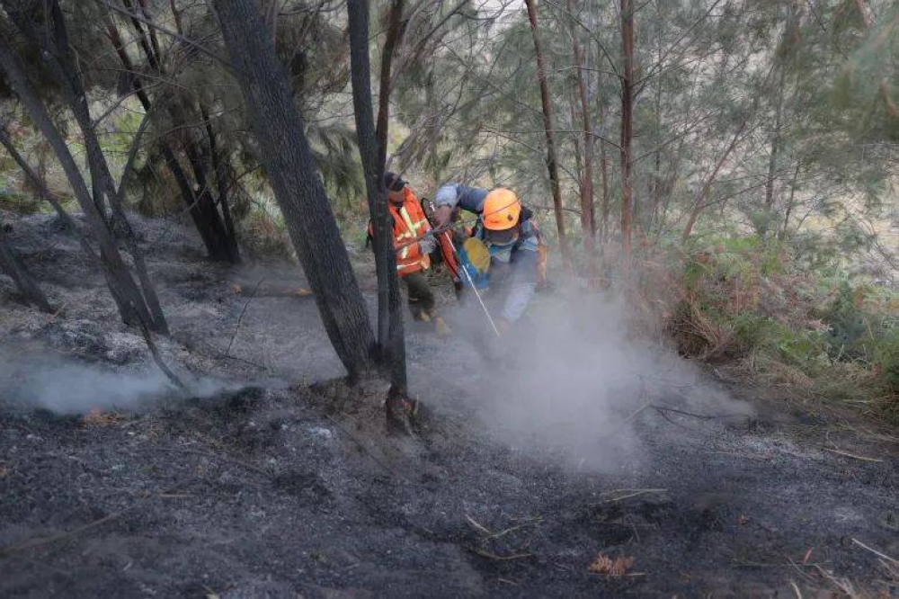 Indonesia bolsters troop numbers to combat Borneo wildfires