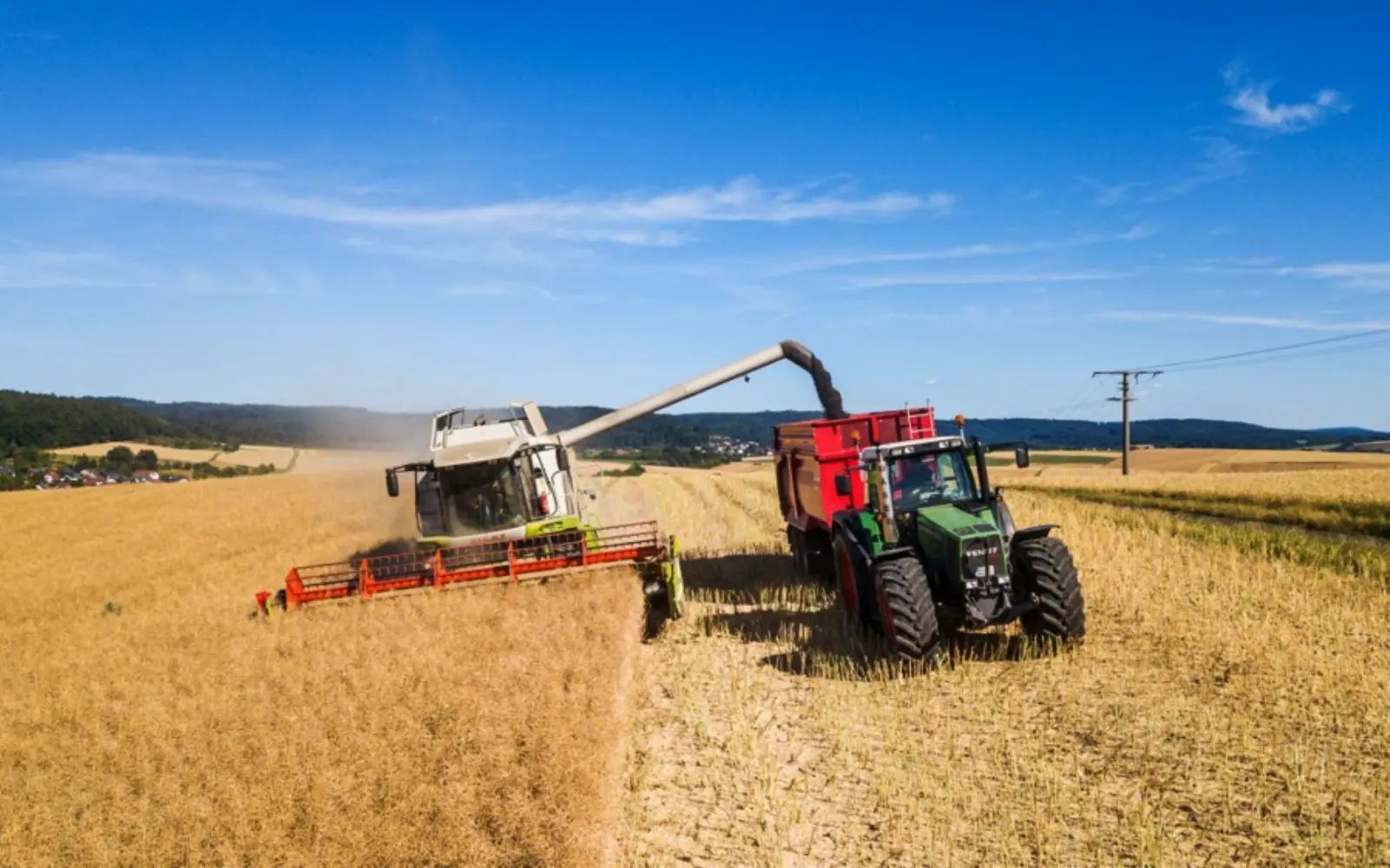 World food prices hit 3-year high in July as weather, war weigh