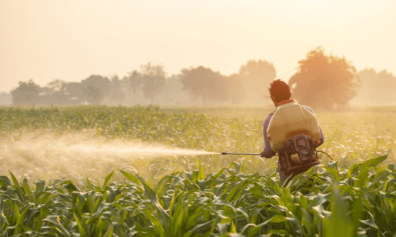 Pesticide Exposure at Work May Increase Motor Neurone Disease Risk