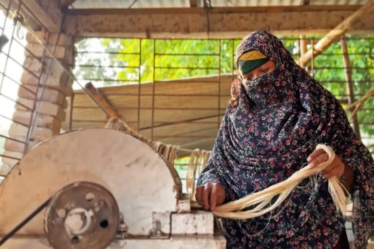 A banana byproduct transforms farm waste into profits in Bangladesh