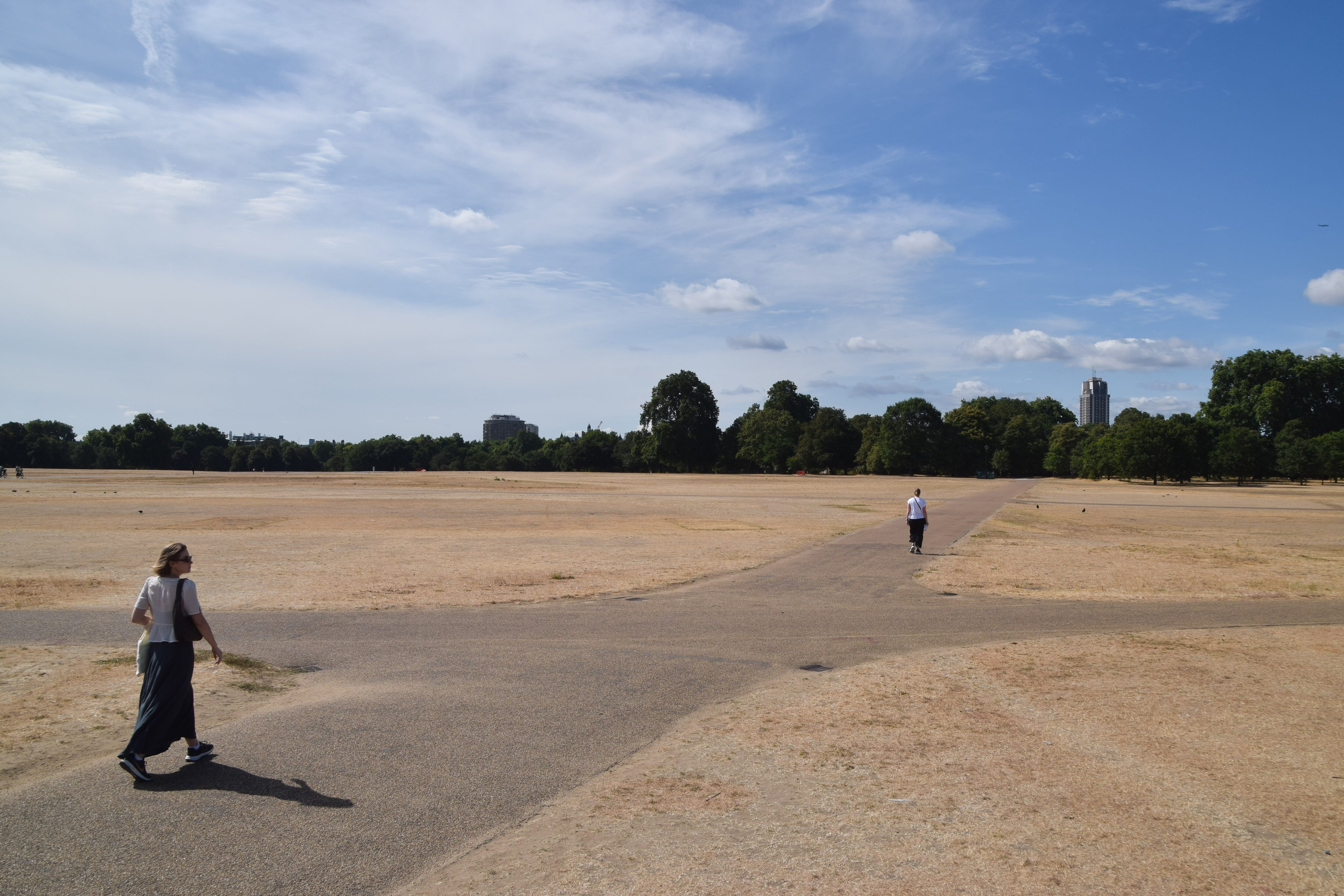 "Hyde Park looks like the Dubai desert": drought turns London's green parks into wastelands
