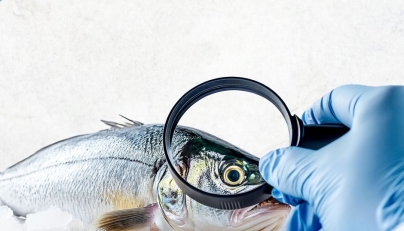 Municipality Ministry issues guidelines on selecting and handling fresh fish