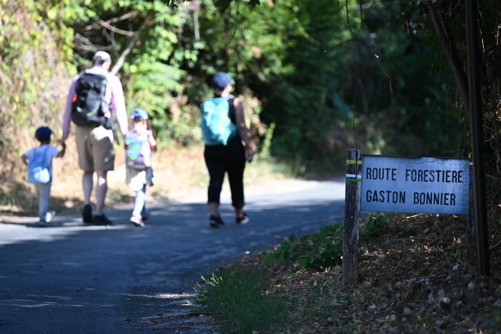 Fontainebleau reopens after wildfire, climbers and walkers flock back to Paris woods