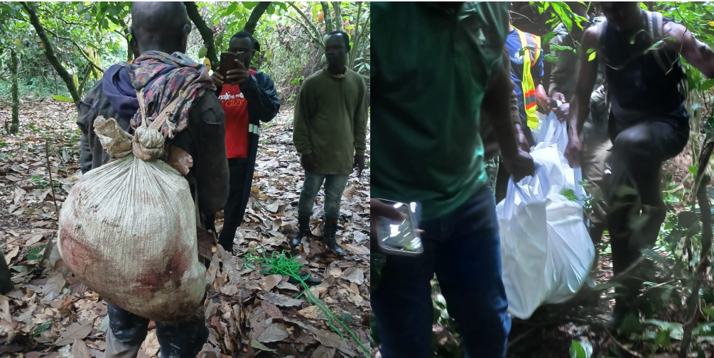 Tragedy at Kakum: Wildlife guard shot dead by suspected poacher during patrol