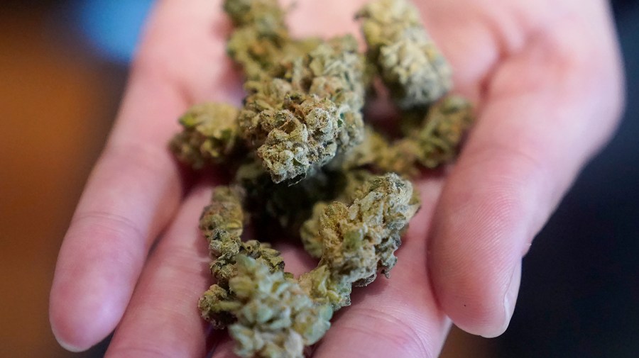 More frequent marijuana users being treated with nausea and vomiting condition: Report