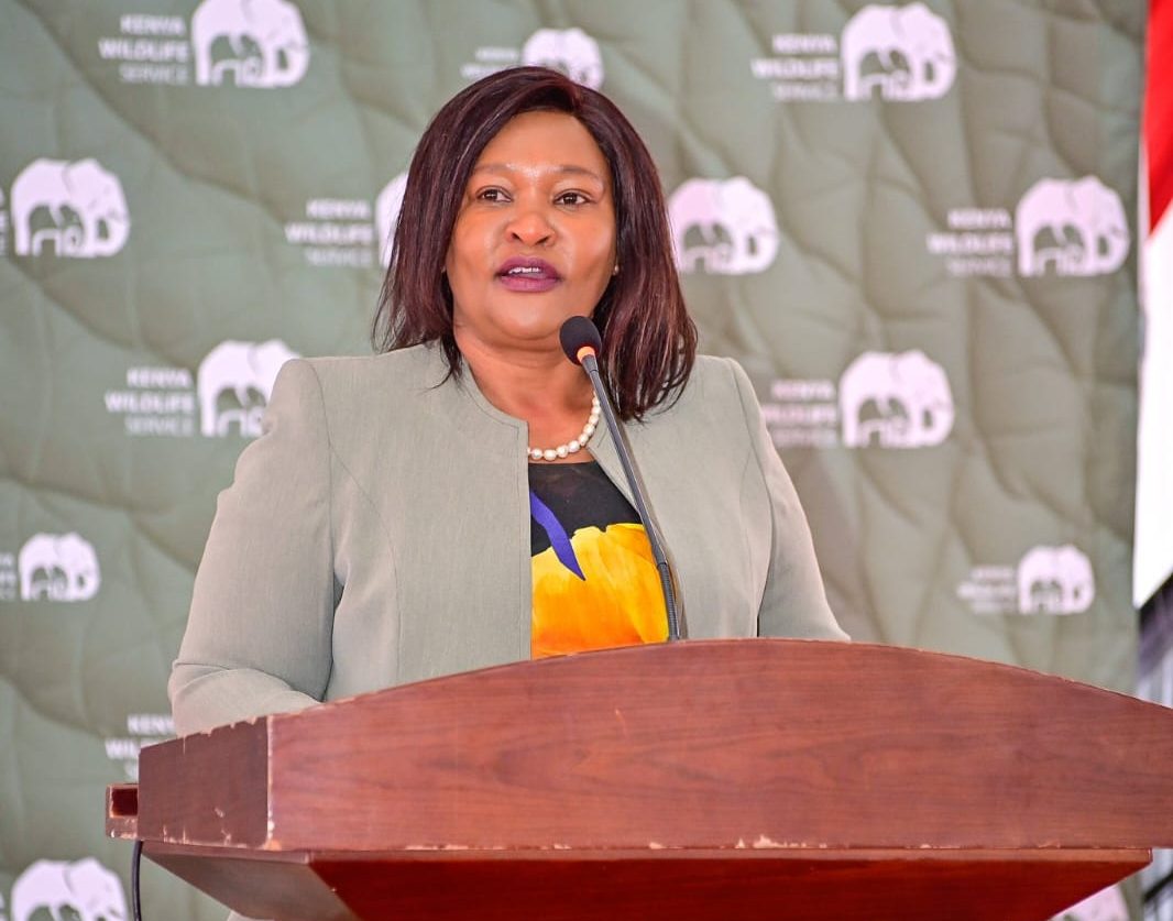 Miano: Cyanide poisoning suspected in deaths of 18 Amboseli elephants