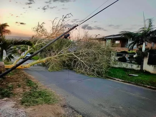 Strong winds leave 15 eThekwini areas without electricity
