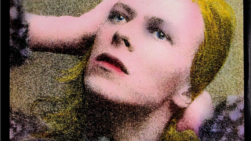 ABC 50/50 quiz: Test your knowledge of Bowie albums, royal birthdays and pigs vs sheep