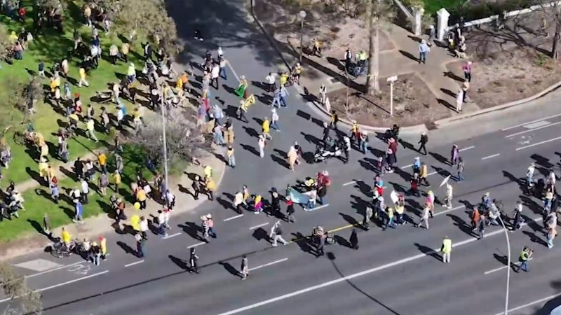 ‘Stop the chop’ protesters swarm Adelaide park