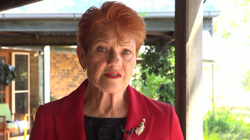 Confusion over One Nation’s migration policy