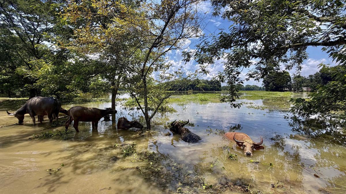 Assam floods: Death toll reaches 75, MLAs to donate a month’s salary for flood relief