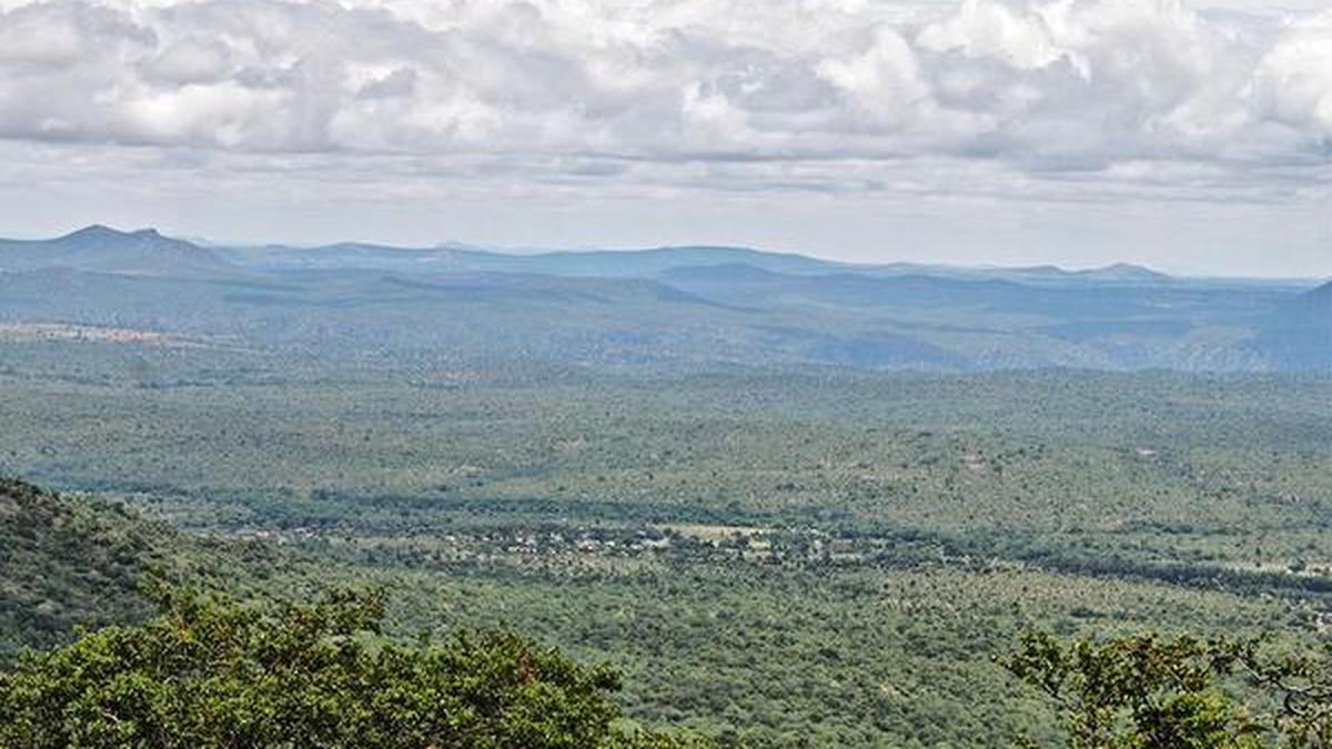 Climate change destabilising Western Ghats’ forest ecosystems in Nilgiri Biosphere Reserve, warn researchers