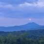 Hydraulic traits reveal why some mountain trees move uphill while others shift downhill