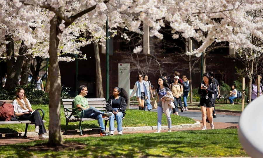 US considers charging $100,000 fee for international graduates seeking to work