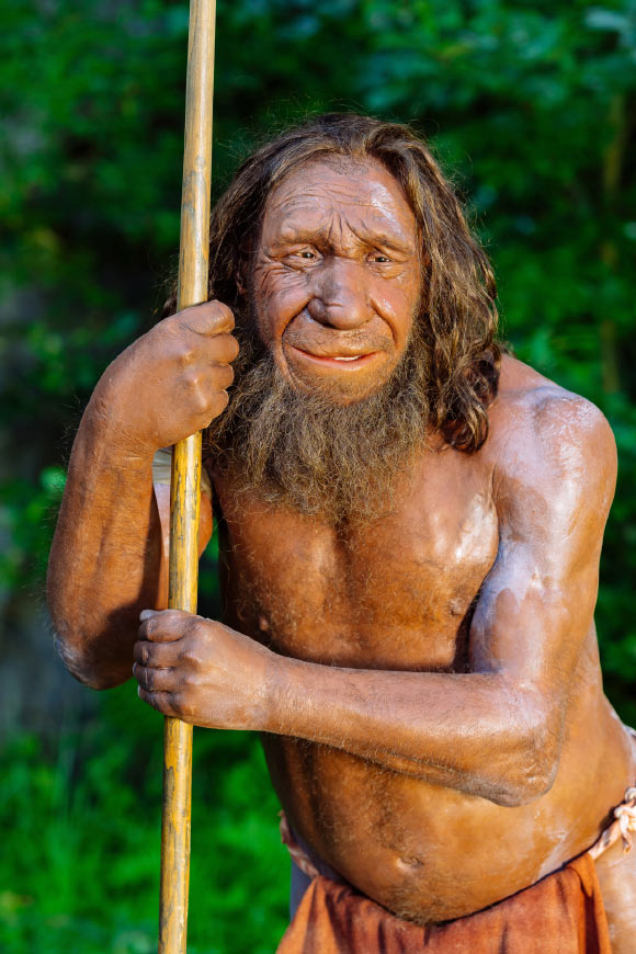 Neanderthal Gene Still Shapes Muscle and Jaws in Some Living Humans