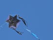 Defense Minister Katz orders IDF to 'act forcefully' in Gaza against launches of balloons, kites