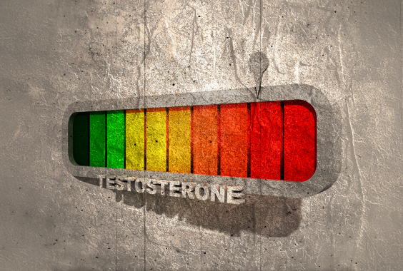 More Testosterone Won’t Make a Better Soldier or a Tougher Man—Aggression and Strength Drive T Levels, Not the Other Way Around