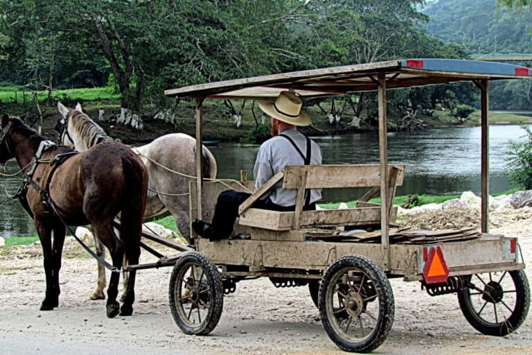 Land records reveal how Mennonites are reshaping Belize’s forests