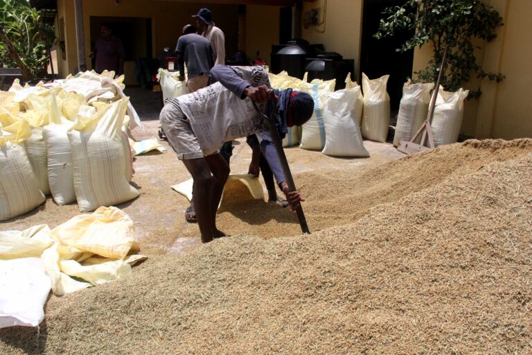 Sri Lanka prepares for impending El Niño with traditional and new approaches