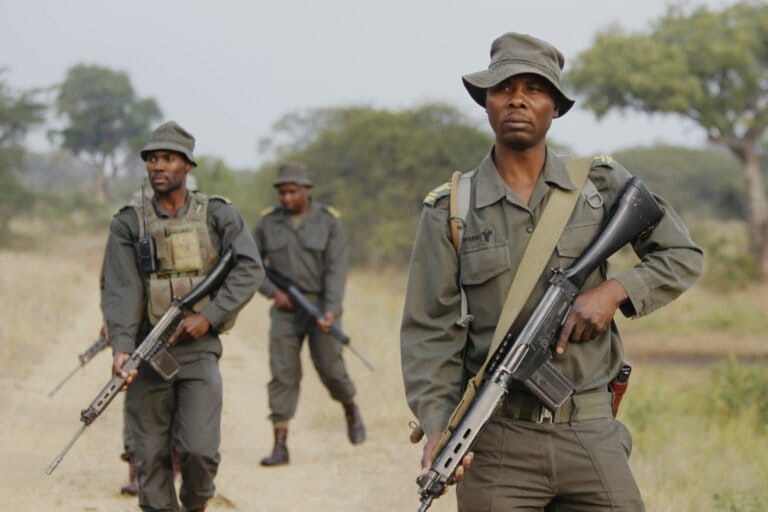 World Ranger Day: Justice for the protectors of the wild