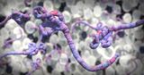 Human Ebola Vaccine Trials Begin, a Newly Discovered Dinosaur from Zimbabwe, and Wildfires in Europe Are Producing "Fire Clouds"