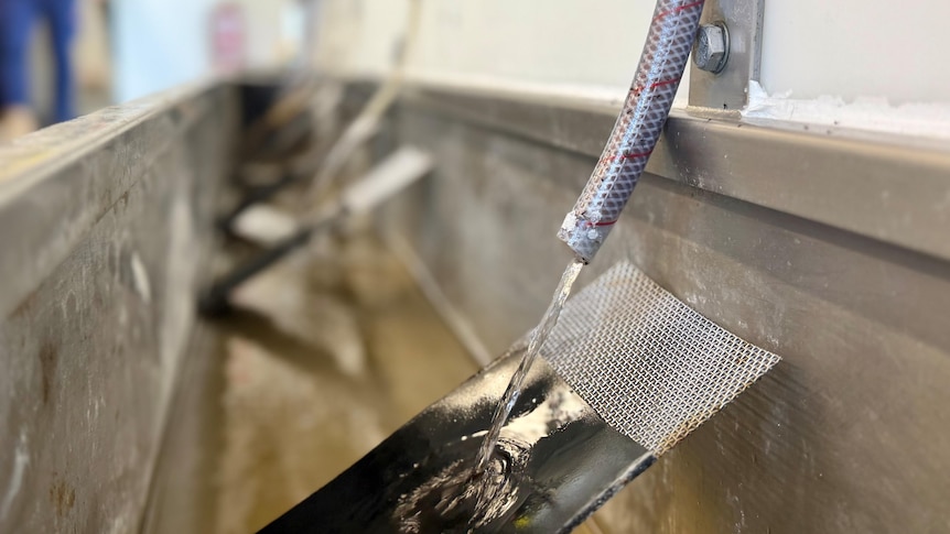 City's drinking water diluted after elevated PFAS levels detected