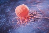 Cancer Thrives by Evading Cell Death — Cattle Cells Could Help Researchers Fight Back