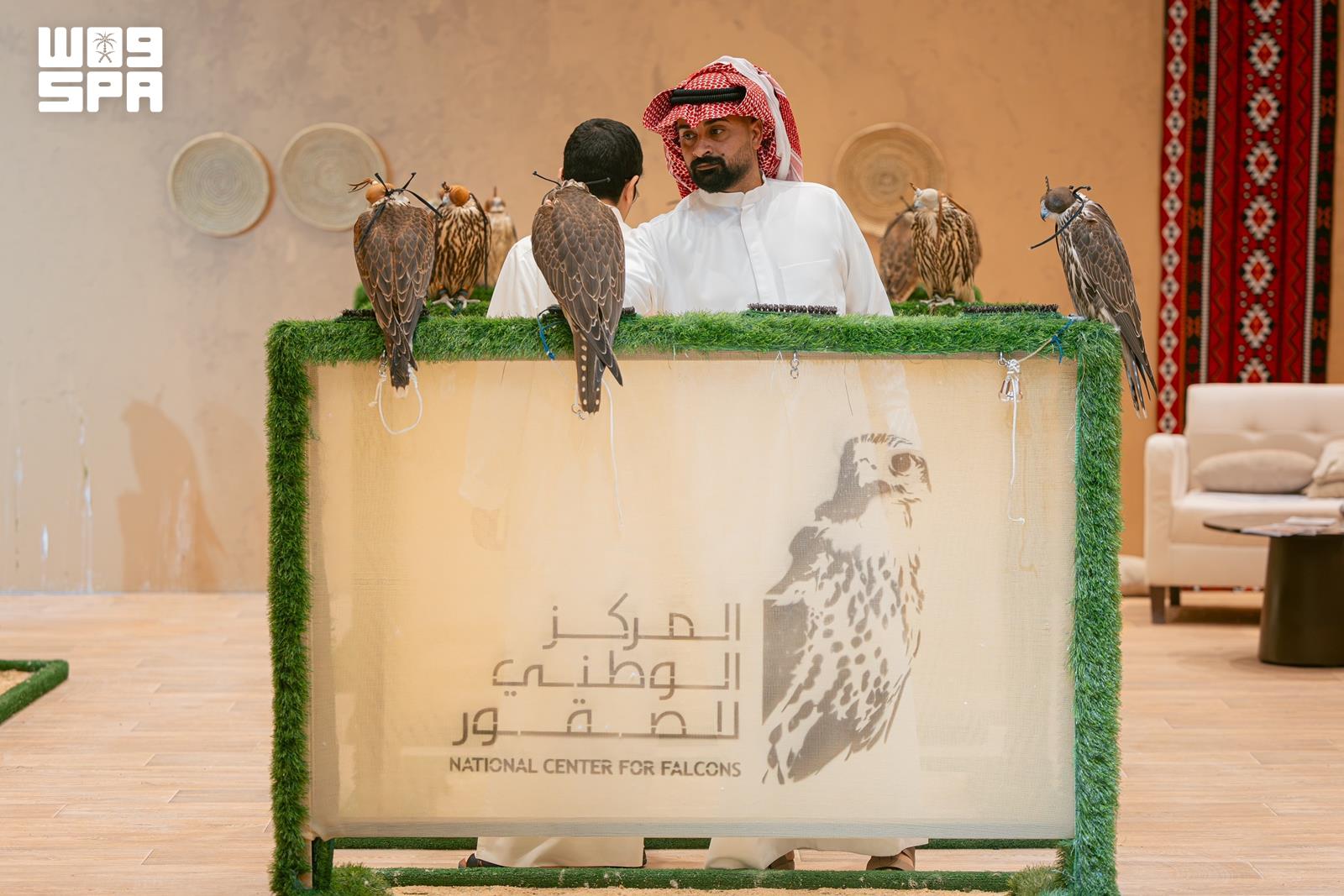 Czech falcon breeding farm showcases Canadian, US lines at Riyadh auction