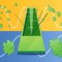 Protein degradation rate helps explain why humans develop more slowly than mice