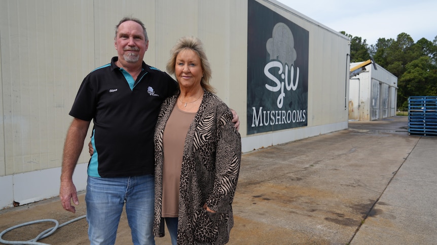 Crippling costs force family to close mushroom farm after 45 years