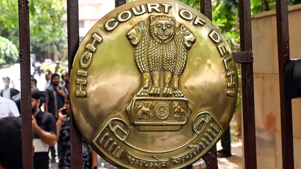 'Why should entire city suffer?' Delhi HC on plea for protest at Jantar Mantar
