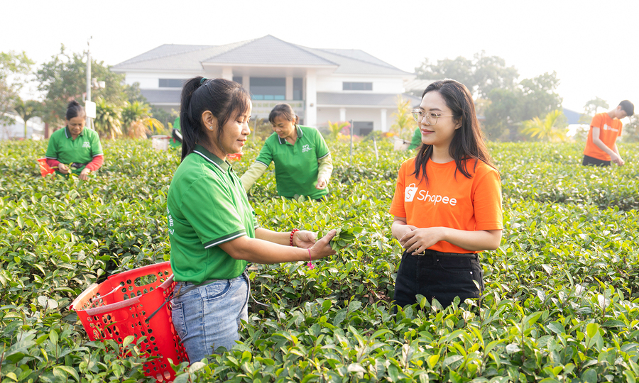 Vietnamese SMEs build digital capabilities beyond online selling