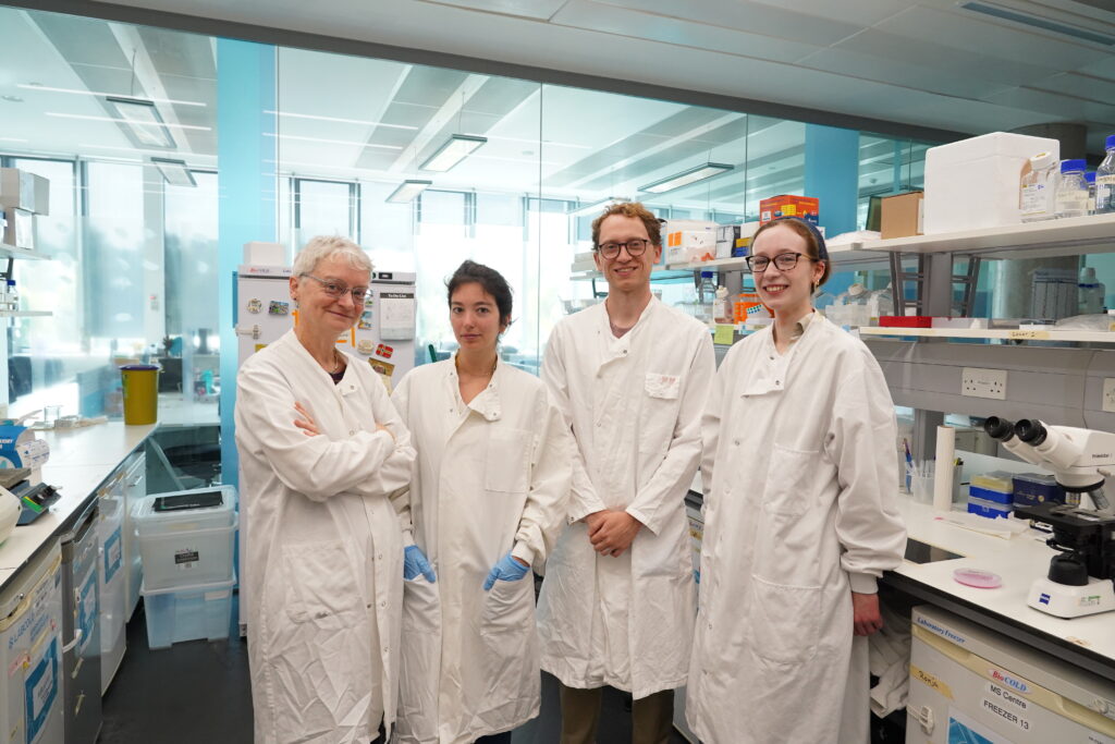 Tiny fish could unlock new MS drugs. Brexit is getting in the way.