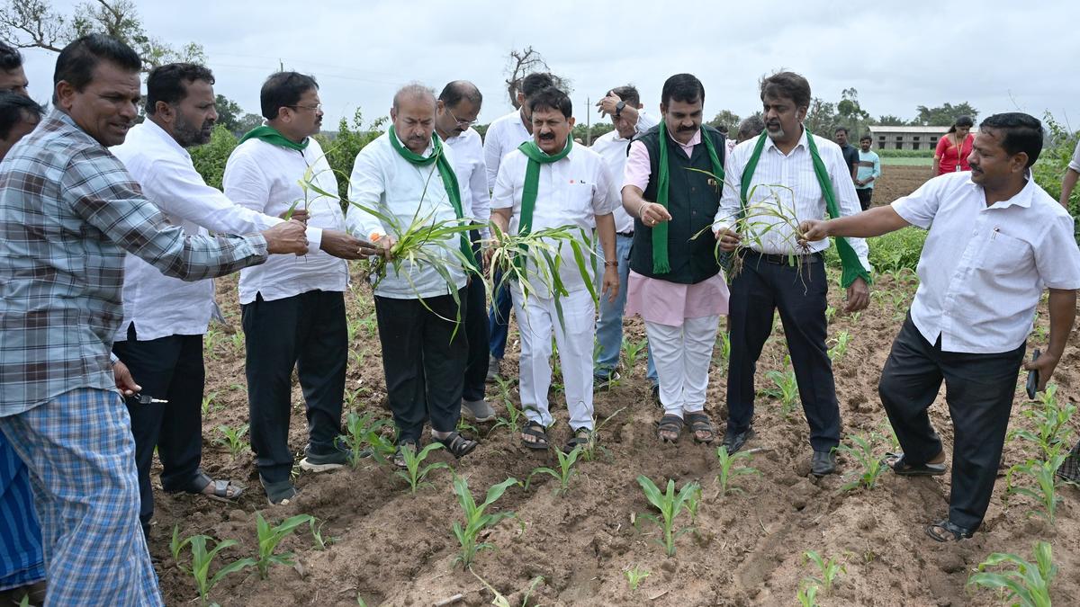 BJP leaders visit drought-hit areas in Shivamogga