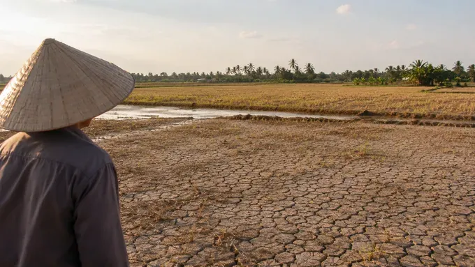 El Niño risks prompt call for proactive rice supply planning