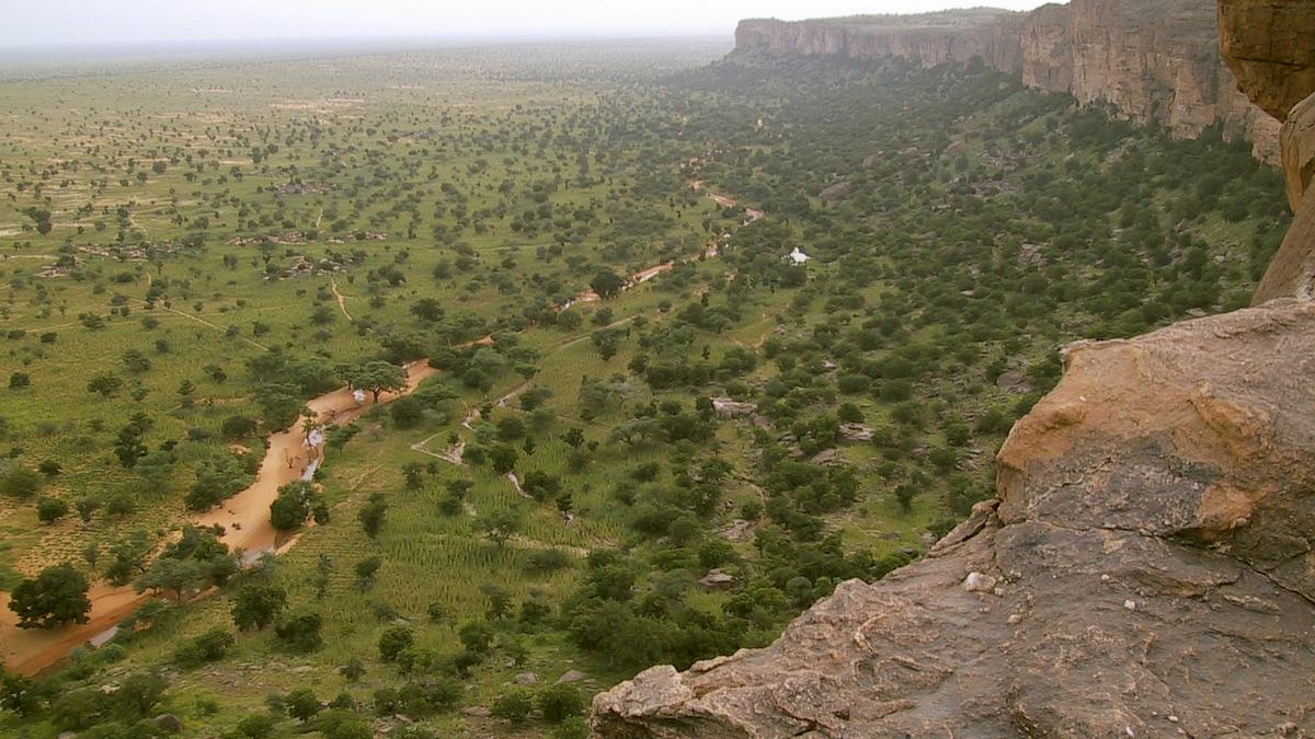 What is the barren-land fallacy?