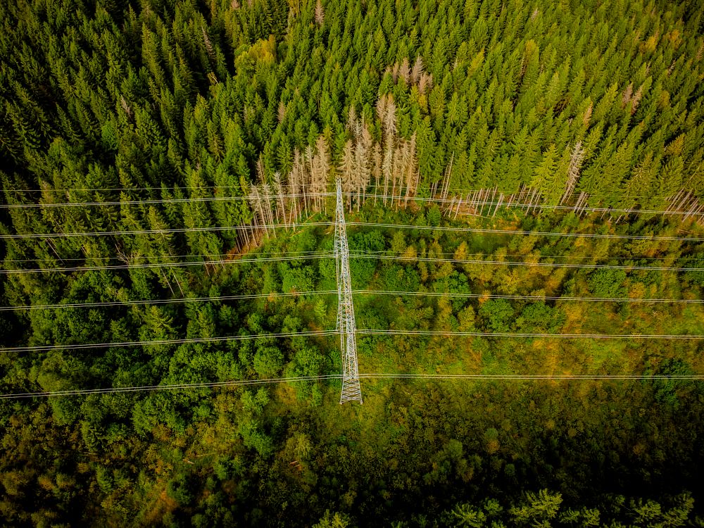 Norgespris til bedrifter: – Ekstremt dårlig idé