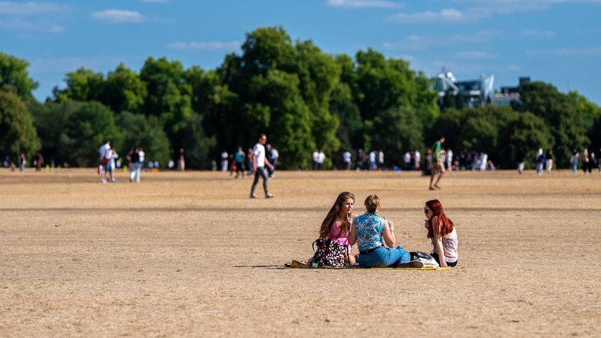 'Never seen anything like this': Britain's parks and pastures turn brown